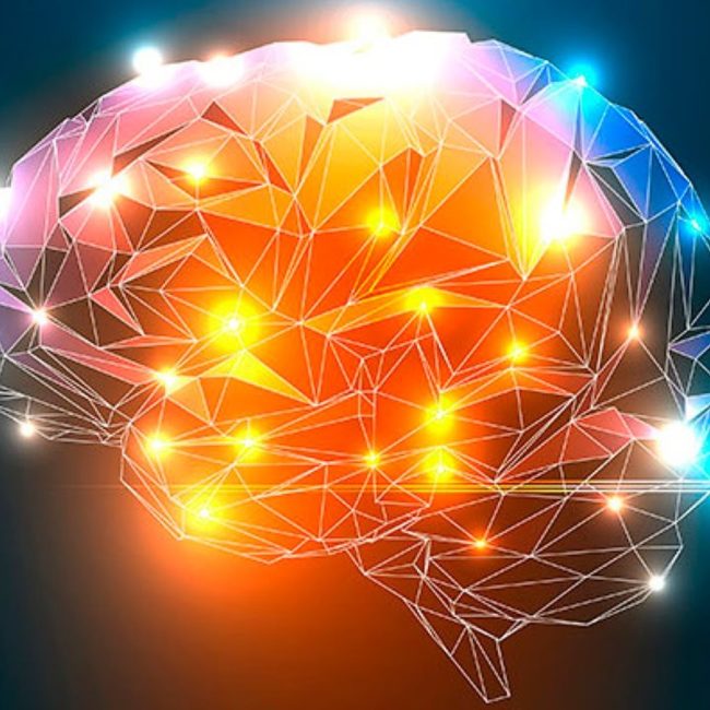 Μελέτη σοκ: Ο εγκέφαλός μας μπορεί να συνεχίζει να λειτουργεί ακόμη και 10 λεπτά μετά τον θάνατο!