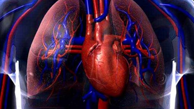 Η κανακινουμάμπη, ένα νέο φάρμακο για τις καρδιοπάθειες