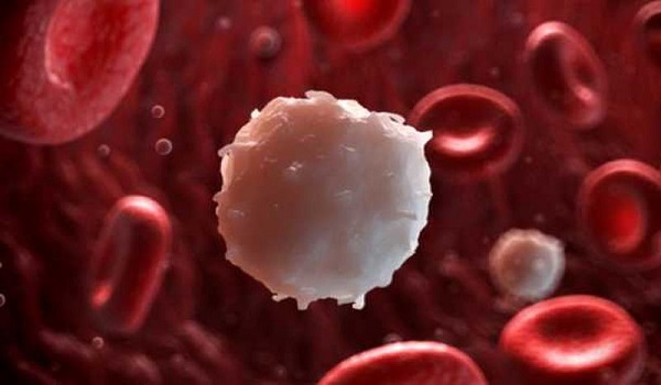 Καρκίνος του αίματος: Οι τρεις βασικοί τύποι και τα συμπτώματα