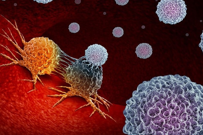 Ανακαλύφθηκε κύτταρο του ανοσοποιητικού που εξοντώνει όλα τα καρκινικά κύτταρα